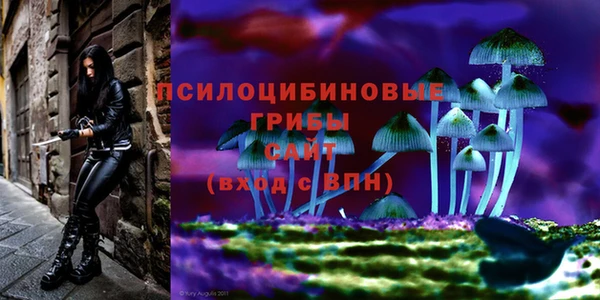 ALPHA PVP Алзамай